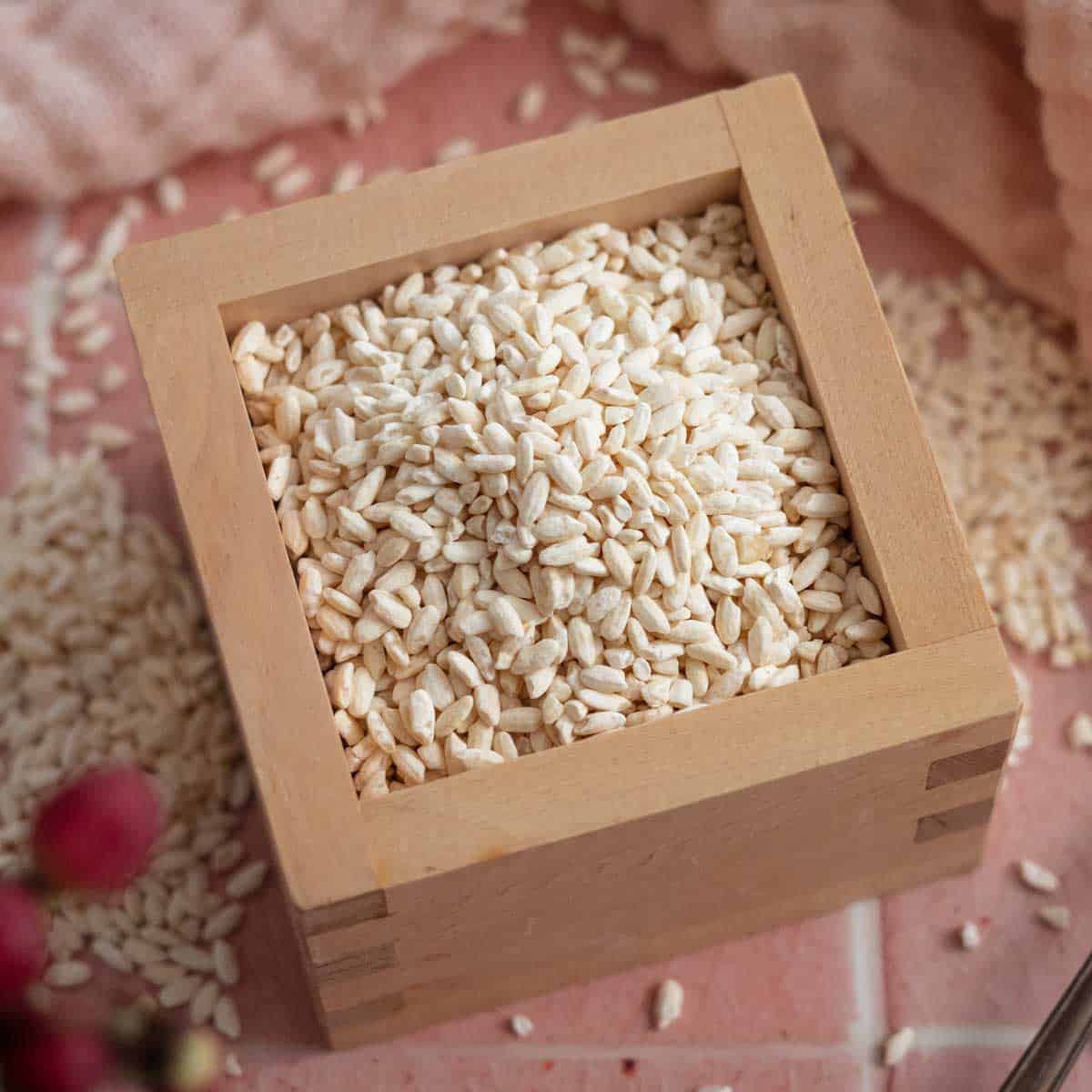 果物 Koji Koji Starter Powder - SR-108 100g (For 200kg Portion) - Best For